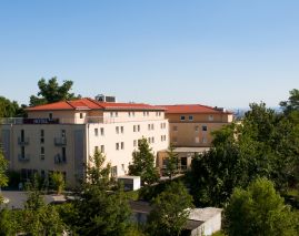 Bergwirtschaft Wilder Mann